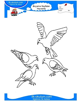 Çocuklar İçin Kuş Boyama Sayfaları 
